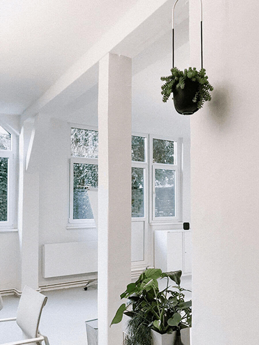 Blick auf die Pflanzen in der Agentur