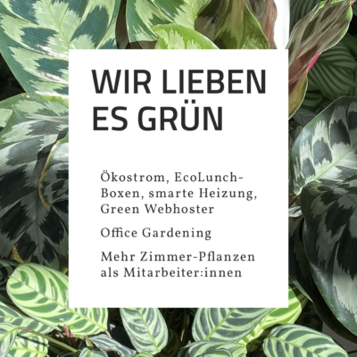 6 beste Gründe für das Arbeiten bei Yellowmonkey – Grund 5